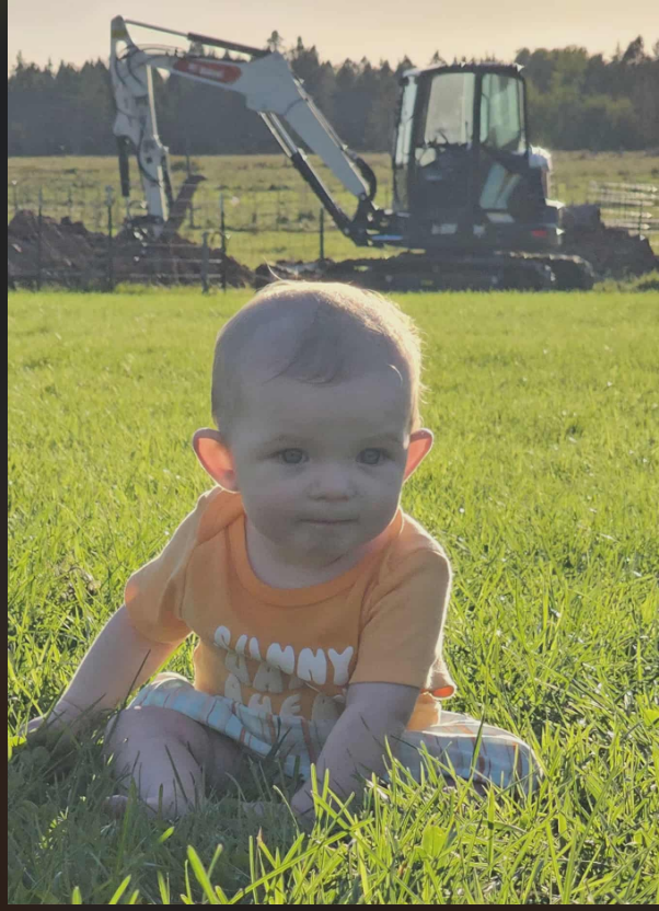 connors land clearing