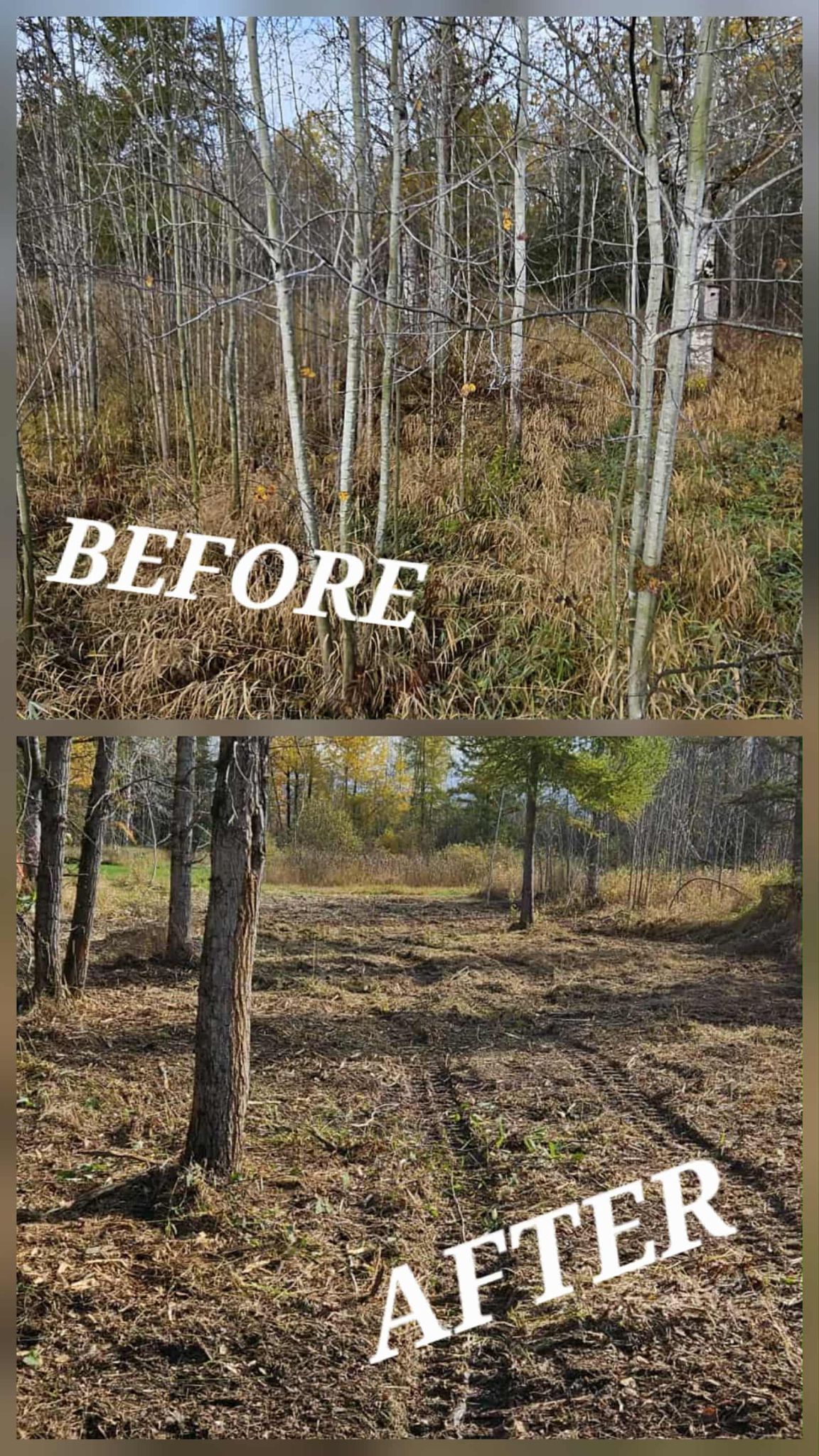 before and after connors land clearing